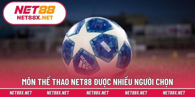Môn thể thao Net88 được nhiều người chọn