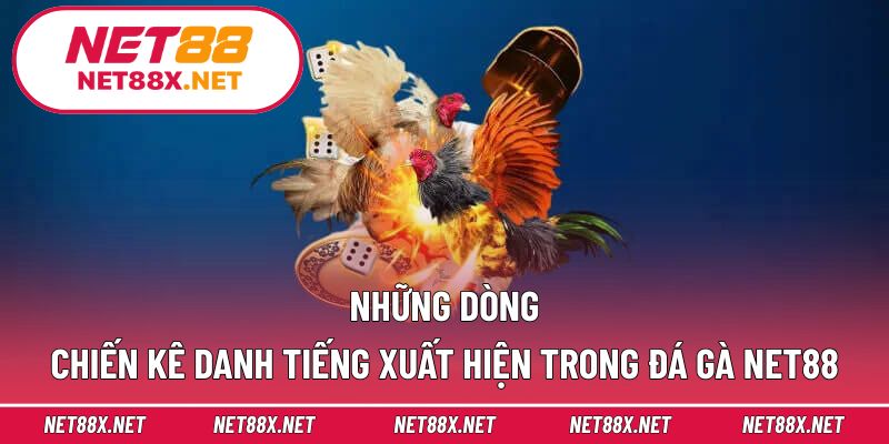 Những dòng chiến kê danh tiếng xuất hiện trong đá gà Net88