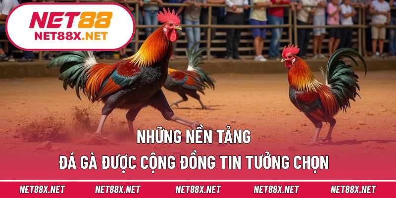 Những nền tảng đá gà được cộng đồng tin tưởng chọn