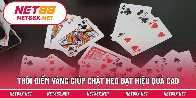 Thời điểm vàng giúp chặt heo đạt hiệu quả cao